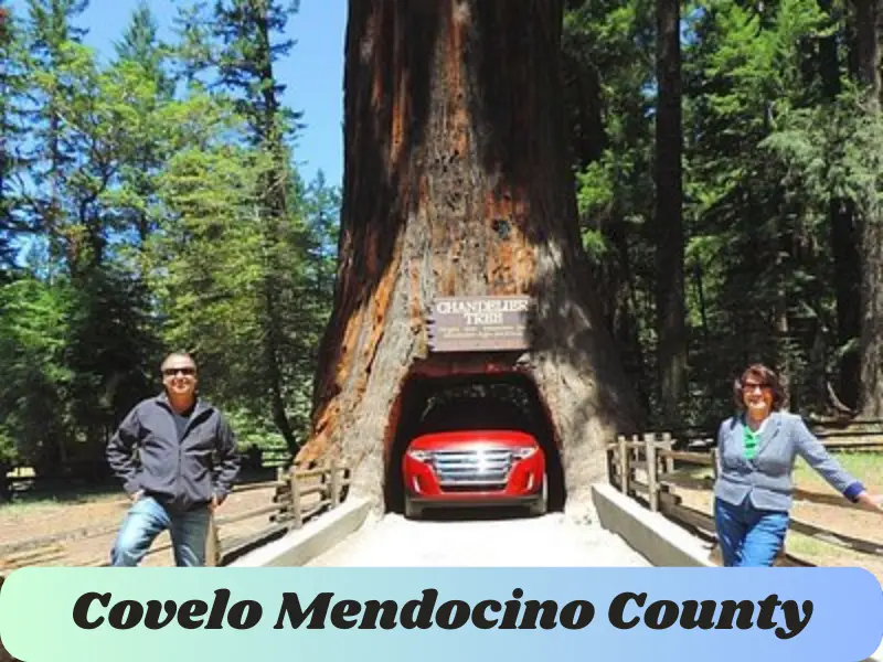 covelo mendocino county