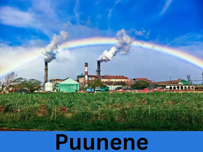 puunene