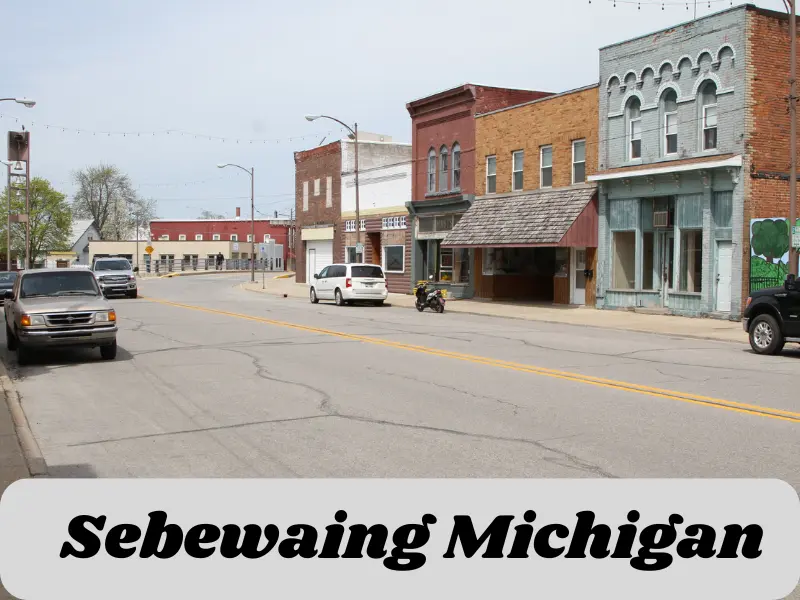 sebewaing michigan