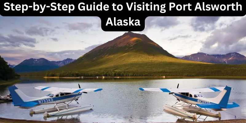 Step-By-Step Guide To Visiting Port Alsworth Alaska