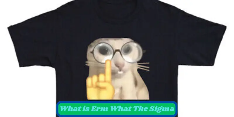 What Is Erm What The Sigma