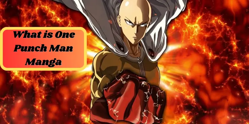 What Is One Punch Man Manga