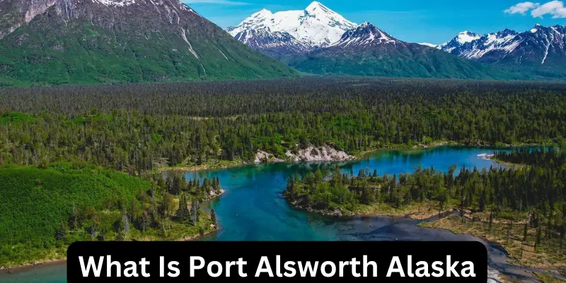 What Is Port Alsworth Alaska