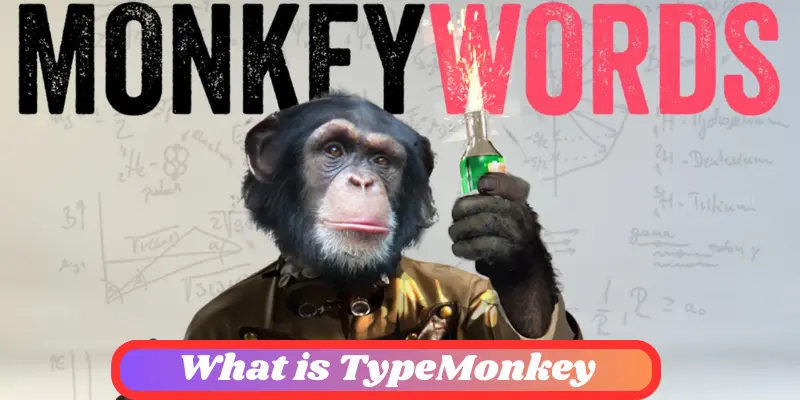 What Is Typemonkey